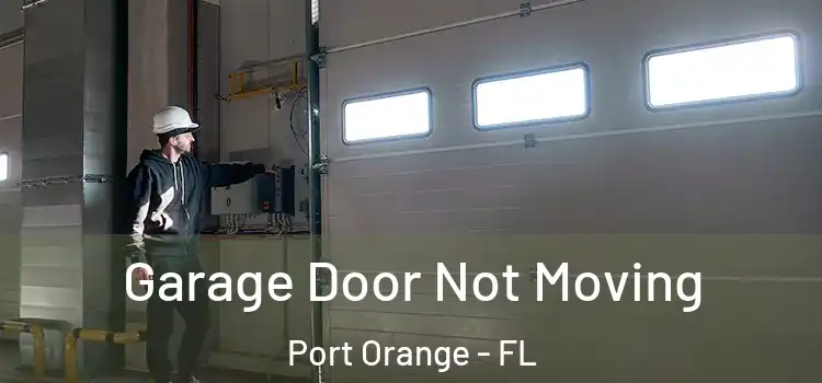  Garage Door Not Moving Port Orange - FL