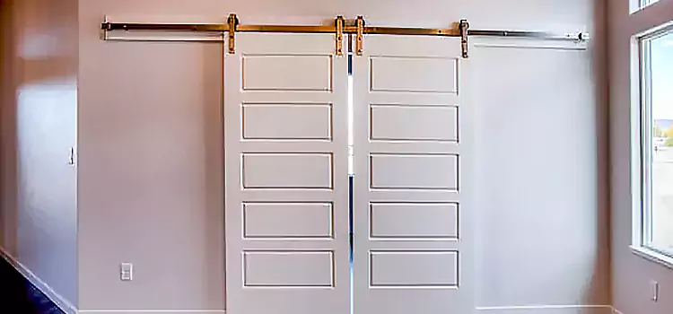 Glass Barn Door with Installation Hardware Kit Port Orange